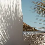 Flo *